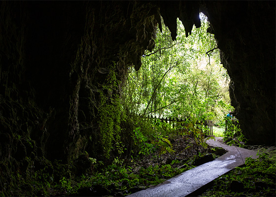 Tour image 4