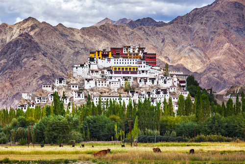 Adventure in Ladakh