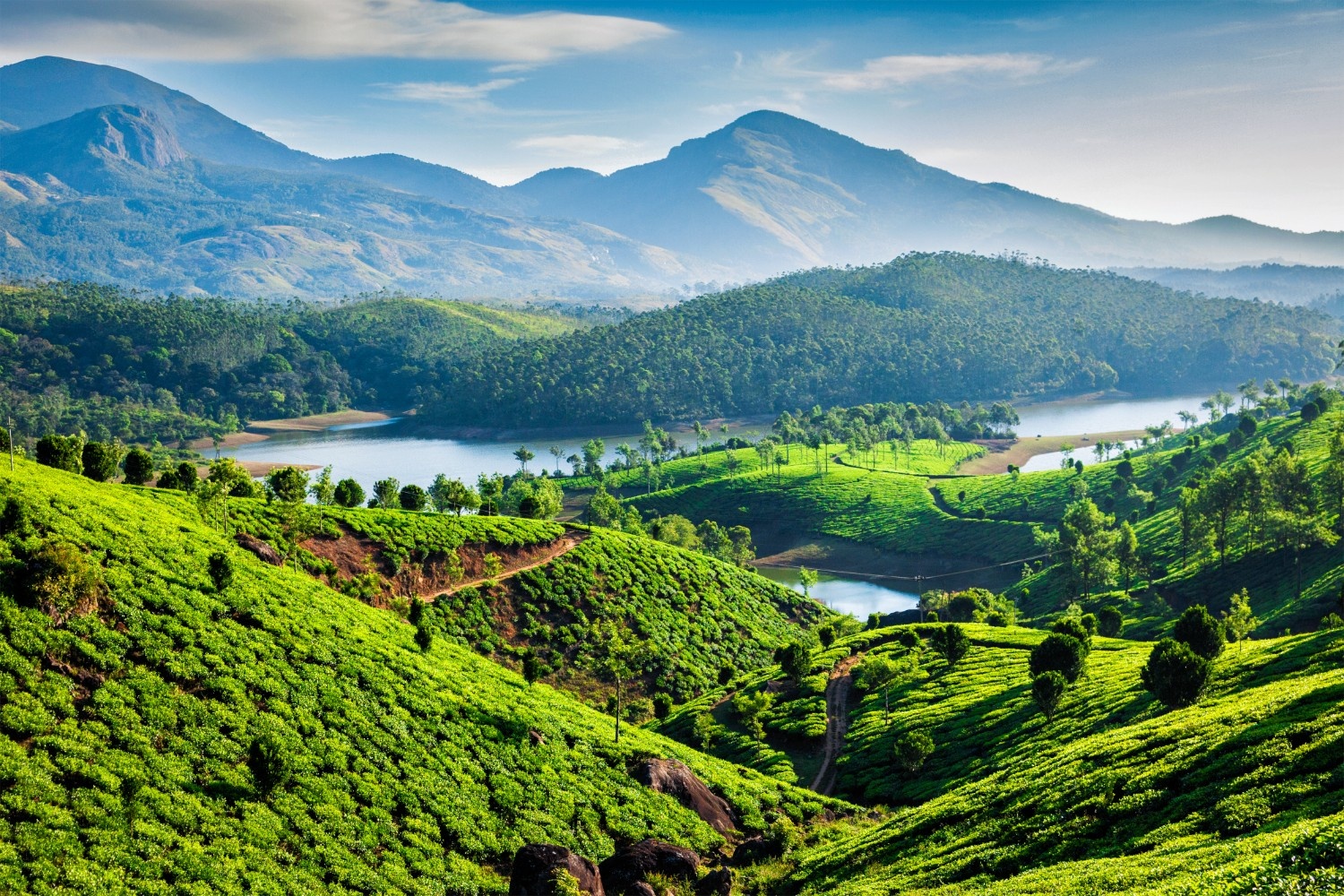 Kerala Honeymoon Delight Tour