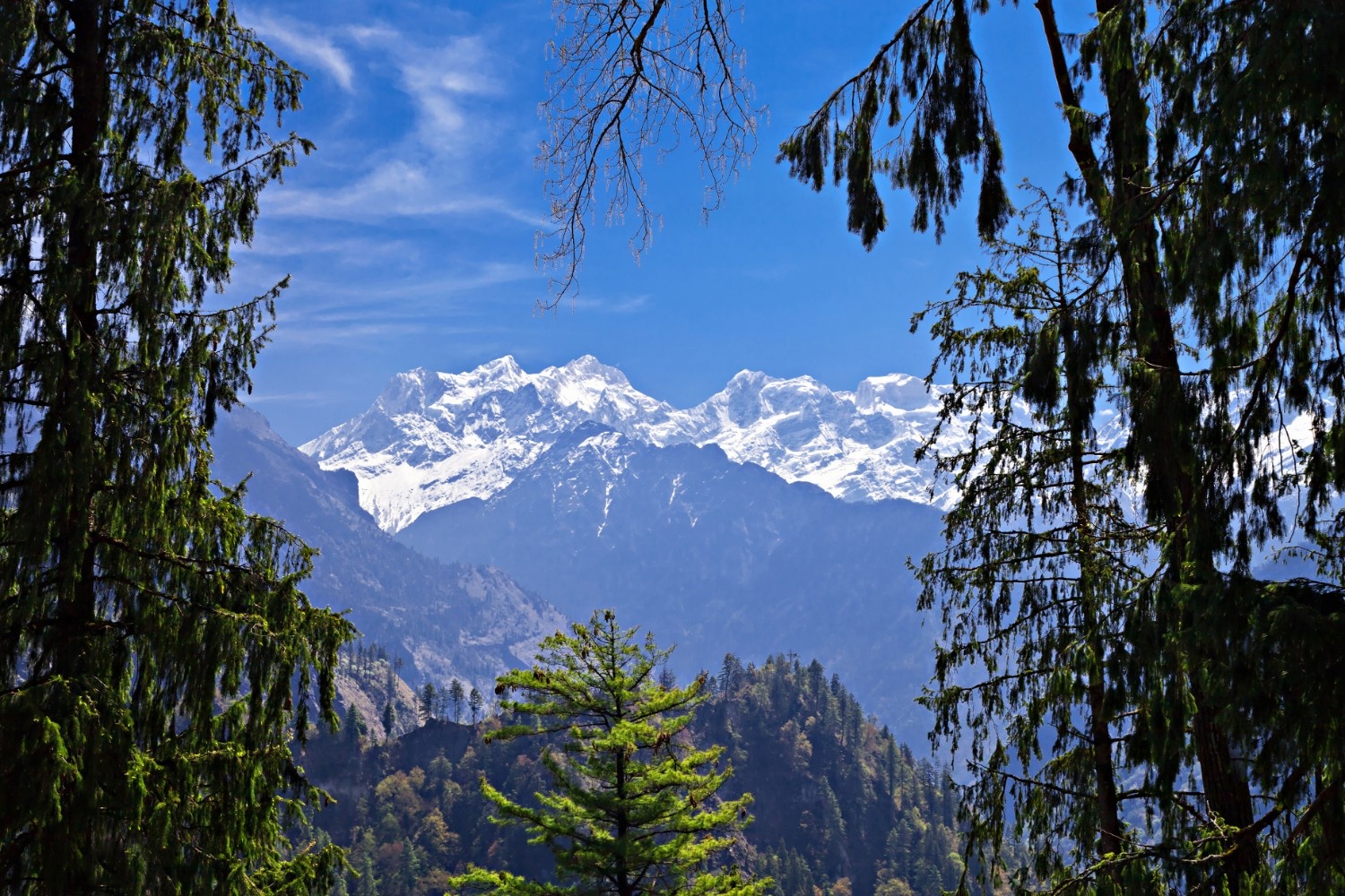 Nainital Mussoorie 