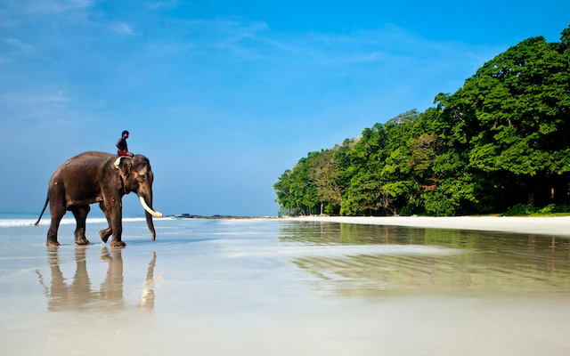 Beach Bliss Andaman